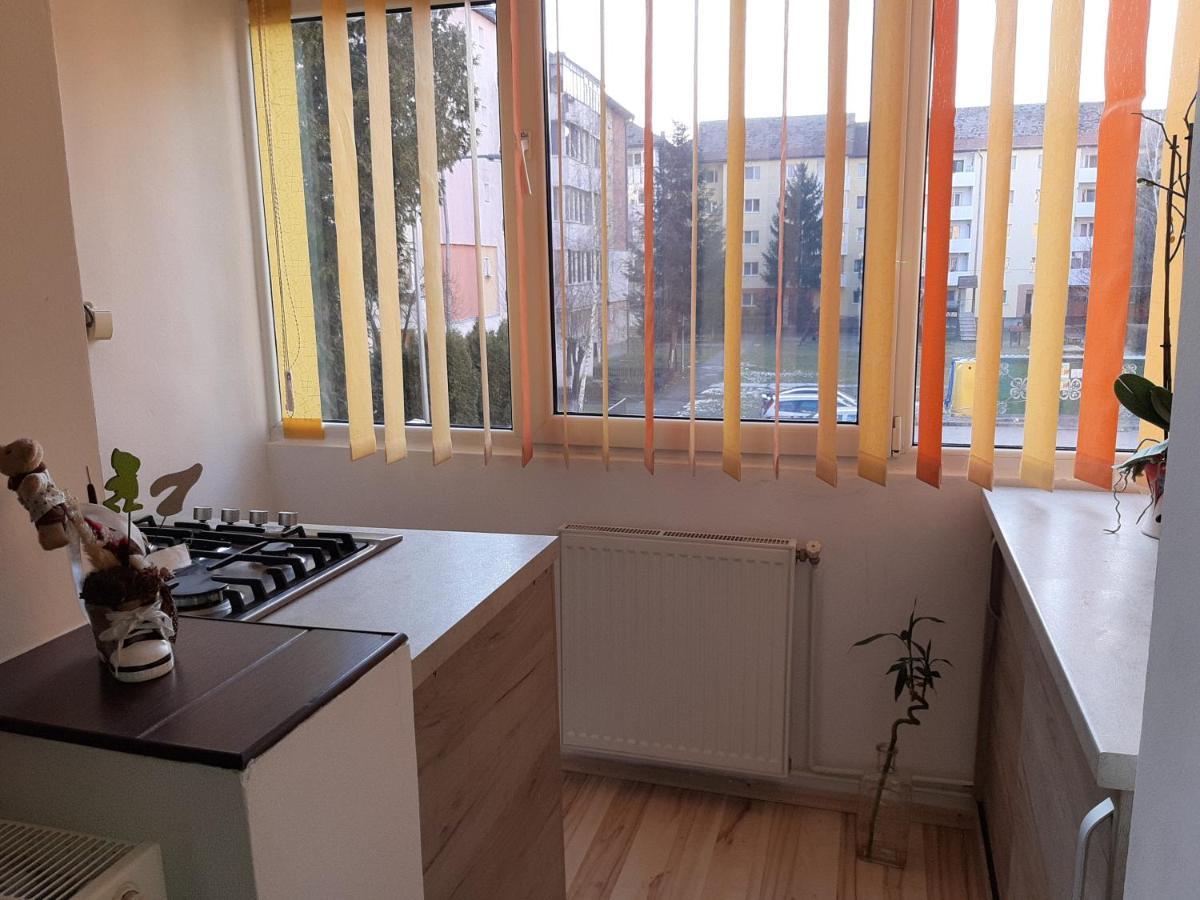 Sepsi 4You Apartment Sfântu-Gheorghe Esterno foto