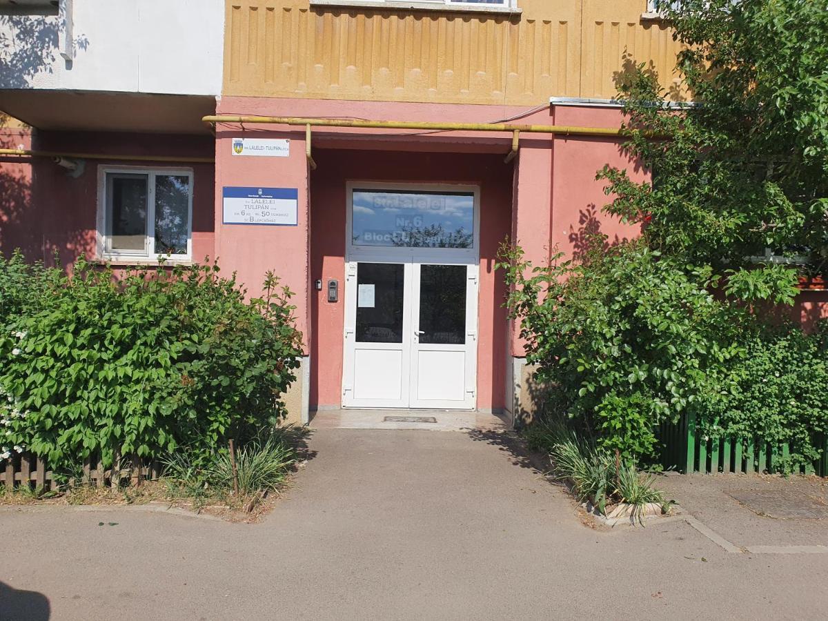 Sepsi 4You Apartment Sfântu-Gheorghe Esterno foto