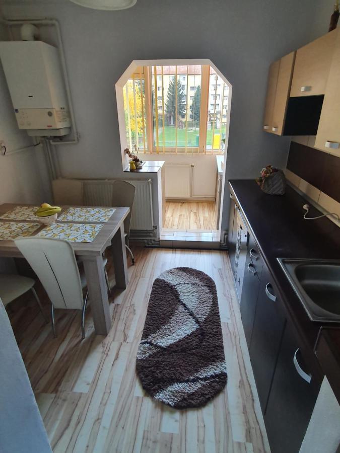 Sepsi 4You Apartment Sfântu-Gheorghe Esterno foto